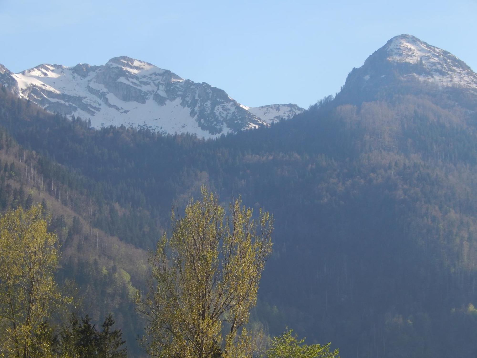 Apartments Bb Bohinj Exterior foto